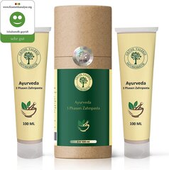 Установите 2 X Ayurveda 3 фазы зубной пасты | Зубная паста зеленый фторид Valie -100 мл с 17 травами, корнями, цветами, высокоэффективными маслами, морской солью и заживлением земли. Известно в магазине здоровой пищи! (2) цена и информация | Для ухода за зубами | kaup24.ee