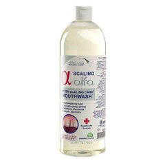 Puhastusvahend Alfa Scaling, 1000 ml hind ja info | Suuhügieen | kaup24.ee