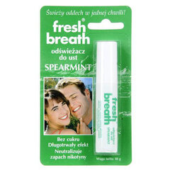 Освежающий гель для дыхания Spearmint Fresh Breath, 10 г цена и информация | Для ухода за зубами | kaup24.ee