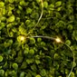 Solar Garden Girland 200x LED Ornamental 21m Warm 3000K + Pilot PASSI LUMILED цена и информация | Aia- ja õuevalgustid | kaup24.ee