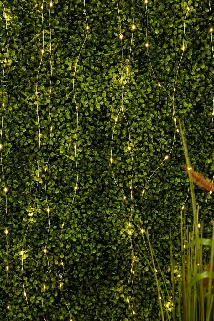 Solar Garden Girland 200x LED Ornamental 21m Warm 3000K + Pilot PASSI LUMILED цена и информация | Aia- ja õuevalgustid | kaup24.ee