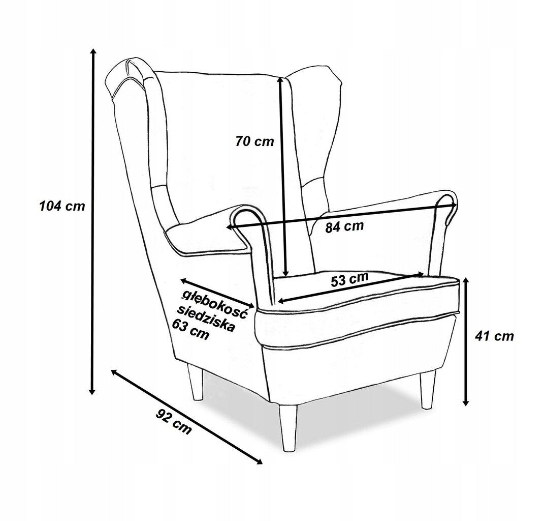 Family Furniture ARI Skandinaavia kiiktool lilla lilla lilla цена и информация | Tugitoolid ja tugitoolvoodid | kaup24.ee