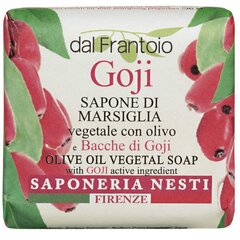 Натуральное мыло Nesti Dante Dal Frantoio с годжи, 100г цена и информация | Мыло | kaup24.ee