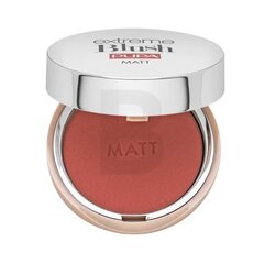 Pupa Extreme Blush Matt 001 Romantiline roosa 4 g hind ja info | Päikesepuudrid, põsepunad | kaup24.ee