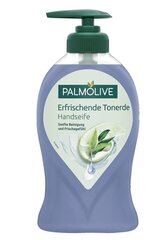 Palmolive Värskendav savi käteseeb, 250 ml (TOODE SAKSAMAALT) hind ja info | Seebid | kaup24.ee