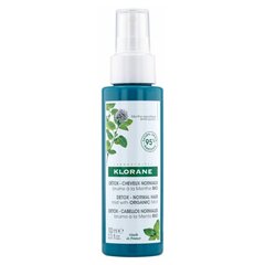 (Anti-Pollution Purifying Mist) 100 ml цена и информация | Маски, масла, сыворотки | kaup24.ee