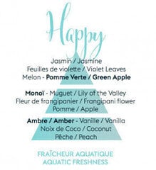 Сменный диффузор Maison Berger Paris Aroma Happy Fraicheur Aquatique свежесть воды (Bouquet Recharge/Refill) 200 мл цена и информация | Ароматы для дома | kaup24.ee