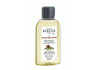 Maison Berger Paris Oliivipuu all (Buquet Recharge/Refill) 200 ml hind ja info | Kodulõhnastajad | kaup24.ee