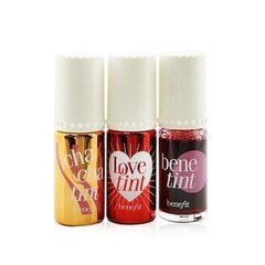 Vedelate värvide kinkekomplekt huultele ja näole Lip Tints to Love цена и информация | Помады, бальзамы, блеск для губ | kaup24.ee