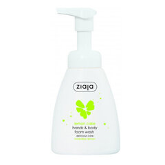 Sidrunitort (Hands & Body Foam Wash) 250 ml hind ja info | Dušigeelid, õlid | kaup24.ee