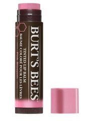 Burt's Bees huulepulk, roosa õitseng, 4g - Saksa toode hind ja info | Huulepulgad, -läiked, -palsamid, vaseliin | kaup24.ee