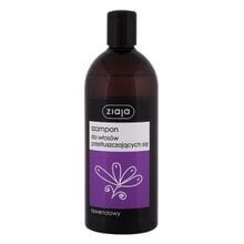 Šampoon lavendliekstraktiga rasustele juustele Ziaja 500 ml hind ja info | Šampoonid | kaup24.ee