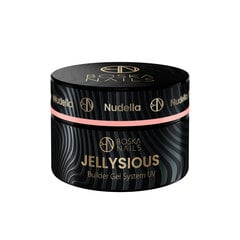 Divine Nails Jellysious Builder Gel UV System Nudella, 15 мл цена и информация | Средства для маникюра и педикюра | kaup24.ee