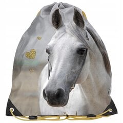 Jalanõudekott Paso Horse PP19H-712 hind ja info | Koolikotid, sussikotid | kaup24.ee