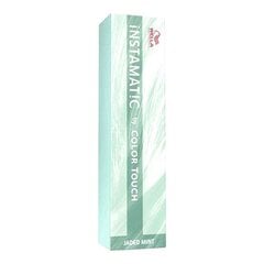 Wella Color Touch Instamatic Jaded Mint /3 60ml hind ja info | Juuksevärvid | kaup24.ee