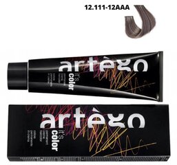 ARTEGO värv 150ml It's Color 12.111 - 12AAA цена и информация | Краска для волос | kaup24.ee