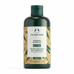 Kõõmavastane šampoon The Body Shop Ginger kõõmavastane šampoon, 250 ml цена и информация | Шампуни | kaup24.ee