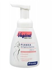 Vagical Protect, Puhastav Vahuvedelik, 250 ml hind ja info | Intiimhügieeni tooted | kaup24.ee