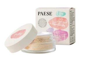 Пудра для лица Paese Mineral Matte 202W Natural, 7г цена и информация | Пудры, базы под макияж | kaup24.ee