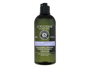 Šampoon L'Occitane En Provence Aromachology (300 ml) hind ja info | Šampoonid | kaup24.ee