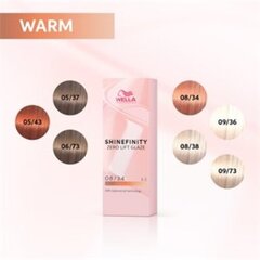 Wella Shinefinity 09/02 Matt 60 ml цена и информация | Краска для волос | kaup24.ee