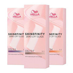 Wella Shinefinity 09/02 Matt 60 ml цена и информация | Краска для волос | kaup24.ee