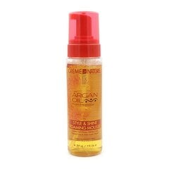 Мусс-фиксатор  Argan Oil Creme Of Nature (207 ml) цена и информация | Средства для укладки волос | kaup24.ee