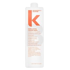 Шампунь для окрашенных волос Kevin Murphy Everlasting Colour Wash, 1000 мл цена и информация | Шампуни | kaup24.ee