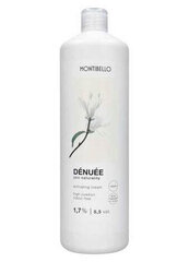 Montibello Denuee Activator 5,5 vol 1,7% 1000 ml цена и информация | Краска для волос | kaup24.ee