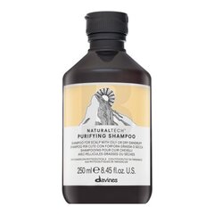 Davines Natural Tech Purifying Shampoo очищающий шампунь против перхоти 250 мл цена и информация | Шампуни | kaup24.ee