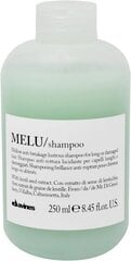 Davines Essential Haircare Melu Shampoo питательный шампунь для ослабленных волос 250 мл цена и информация | Шампуни | kaup24.ee