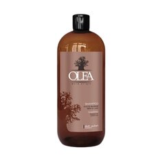 Dott. Solari Olea Baobab Shampoo 1000ml цена и информация | Шампуни | kaup24.ee