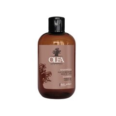 Dott. Solari Olea Baobab Shampoo 250ml цена и информация | Шампуни | kaup24.ee