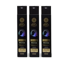 Juuste kasvu soodustav šampoon meestele Natura Siberica Men, 3 x 250 ml цена и информация | Шампуни | kaup24.ee