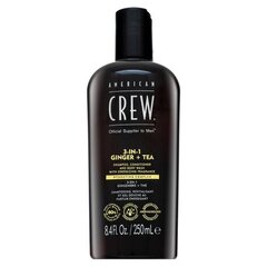 American Crew 3-в-1 Имбирь + чай шампунь, кондиционер и гель для душа 250 мл цена и информация | Шампуни | kaup24.ee