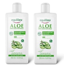 Equilibra Naturale Aaloe niisutav šampoon, 250 ml + 250 ml hind ja info | Šampoonid | kaup24.ee