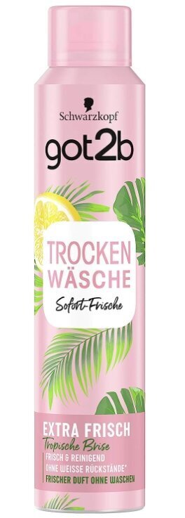 Schwarzkopf got2b Extra Fresh kuivšampoon 200ml (TOODE SAKSMAALT) цена и информация | Šampoonid | kaup24.ee