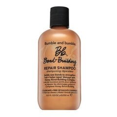 Bumble And Bumble BB Bond Building Repair Shampoo питательный шампунь для сухих и поврежденных волос 250 мл цена и информация | Шампуни | kaup24.ee