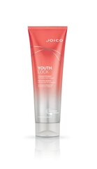 Joico Youth Lock Conditioner кондиционер для защиты и блеска 250 мл цена и информация | Бальзамы, кондиционеры | kaup24.ee