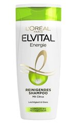 Loreal Puhastav Šampoon, 300ml (Saksa toode) hind ja info | Šampoonid | kaup24.ee