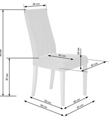 2-tooli komplekt Diego, hall/tamm hind ja info | Söögilaua toolid, köögitoolid | kaup24.ee
