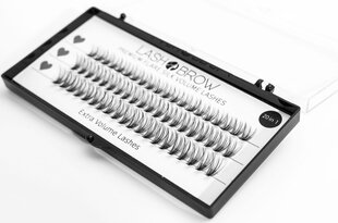 Ресниицы-пучки Lash Brow Premium Flare Silk lashes, 20в1 цена и информация | Накладные ресницы, керлеры | kaup24.ee