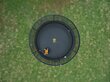 Batuut Jump Power Ufo, 396 cm hind ja info | Batuudid ja batuudi varuosad | kaup24.ee