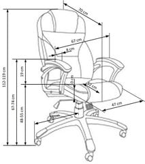 Kontoritool Desmond 2, hall hind ja info | Kontoritoolid | kaup24.ee