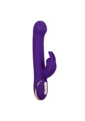 Вибратор CalExotics Silicone Suction Rabbit, фиолетовый цвет цена и информация | Вибраторы | kaup24.ee