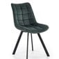 2 tooli komplekt K332, roheline/must hind ja info | Söögitoolid, baaritoolid | kaup24.ee