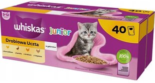 Консервы Whiskas Junior с птицей, 40х85гр цена и информация | Кошачьи консервы | kaup24.ee