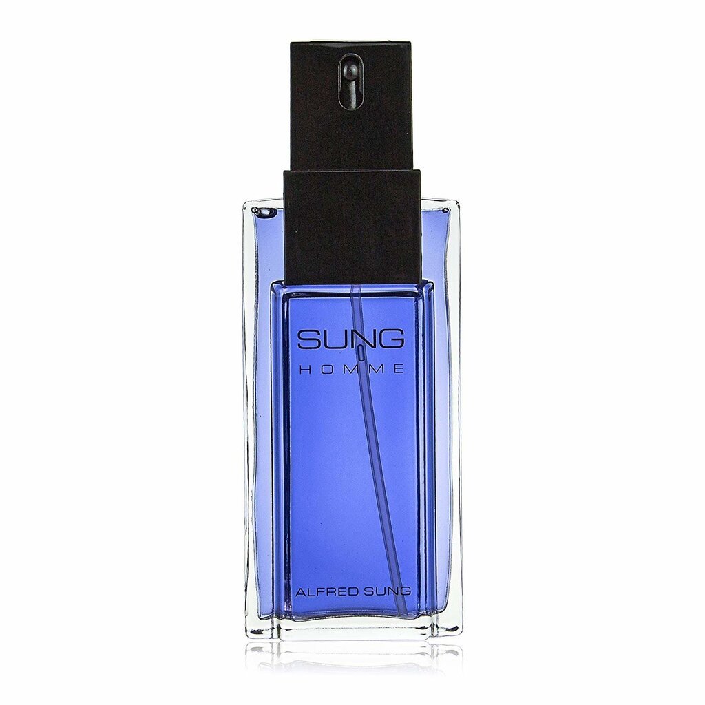 Tualettvesi meestele Alfred Sung Sung Homme EDT 100 ml цена и информация | Meeste parfüümid | kaup24.ee