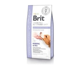 Brit GF Veterinary Diets Dog Gastrointestinal беззерновой сухой корм для собак при проблемах с желудком и кишечником, 12 кг цена и информация | Сухой корм для собак | kaup24.ee