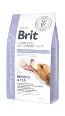 Brit GF Veterinary Diets Dog Gastrointestinal беззерновой сухой корм для собак при проблемах с желудком и кишечником, 2 кг цена и информация | Сухой корм для собак | kaup24.ee